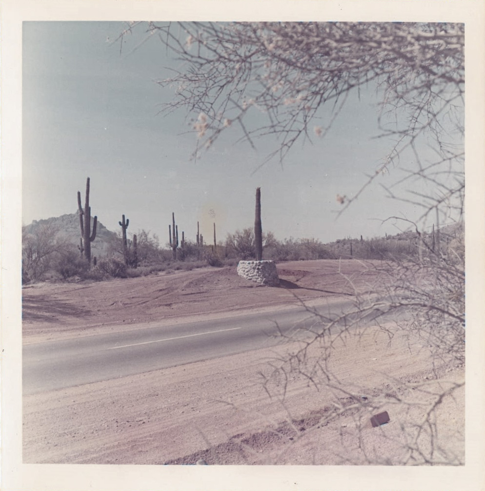 From the archives: Cactus relocation in the 1970s | Department of  Transportation